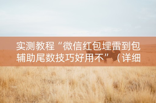 实测教程“微信红包埋雷到包辅助尾数技巧好用不”（详细透视教程）-哔哩哔哩