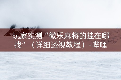 玩家实测“微乐麻将的挂在哪找”（详细透视教程）-哔哩哔哩
