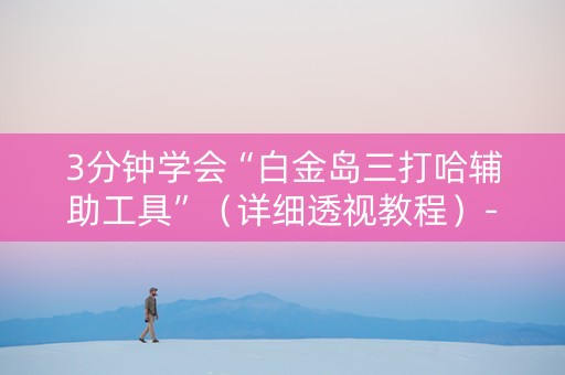 3分钟学会“白金岛三打哈辅助工具”（详细透视教程）-哔哩哔哩
