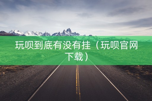 玩呗到底有没有挂（玩呗官网下载）