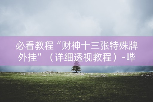 必看教程“财神十三张特殊牌外挂”（详细透视教程）-哔哩哔哩