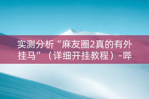 实测分析“麻友圈2真的有外挂马”（详细开挂教程）-哔哩哔哩