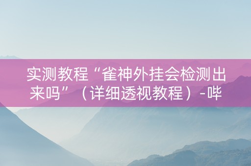 实测教程“雀神外挂会检测出来吗”（详细透视教程）-哔哩哔哩
