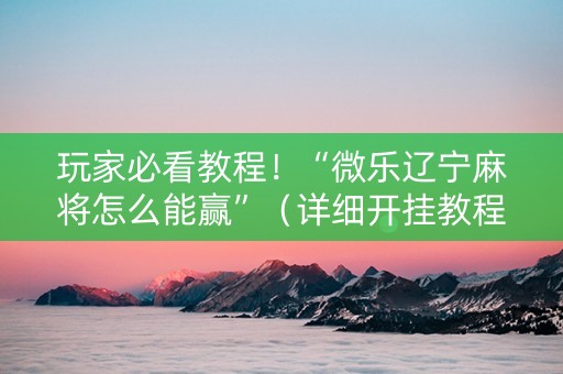 玩家必看教程！“微乐辽宁麻将怎么能赢”（详细开挂教程）-哔哩哔哩