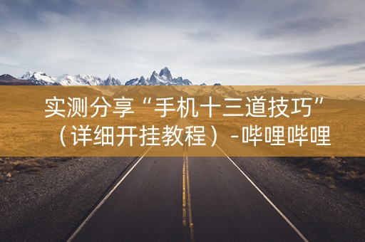 实测分享“手机十三道技巧”（详细开挂教程）-哔哩哔哩