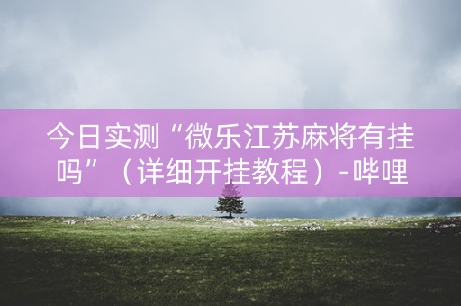 今日实测“微乐江苏麻将有挂吗”（详细开挂教程）-哔哩哔哩