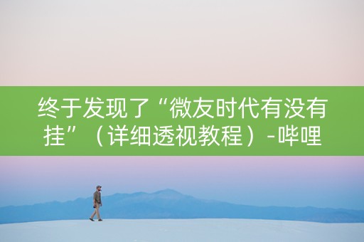 终于发现了“微友时代有没有挂”（详细透视教程）-哔哩哔哩