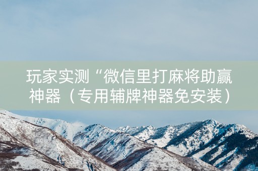 玩家实测“微信里打麻将助赢神器（专用辅牌神器免安装）