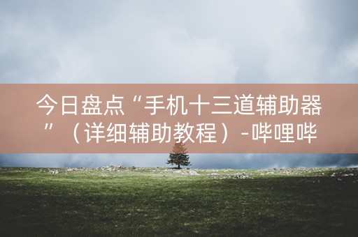 今日盘点“手机十三道辅助器”（详细辅助教程）-哔哩哔哩