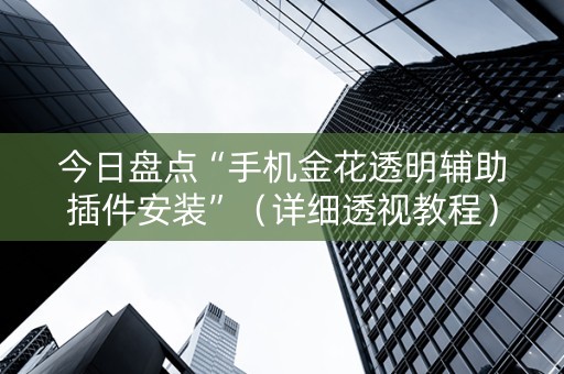 今日盘点“手机金花透明辅助插件安装”（详细透视教程）-哔哩哔哩