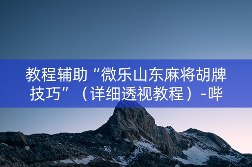 教程辅助“微乐山东麻将胡牌技巧”（详细透视教程）-哔哩哔哩