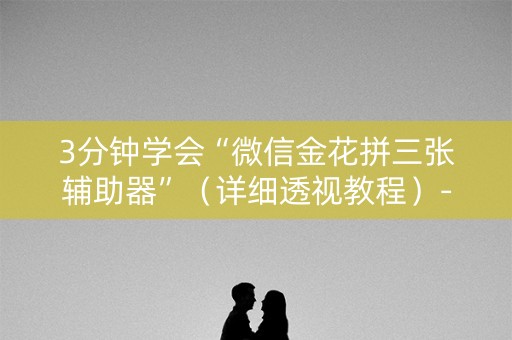 3分钟学会“微信金花拼三张辅助器”（详细透视教程）-哔哩哔哩