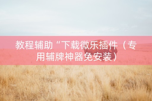 教程辅助“下载微乐插件（专用辅牌神器免安装）