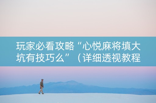 玩家必看攻略“心悦麻将填大坑有技巧么”（详细透视教程）-哔哩哔哩
