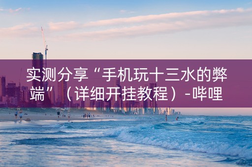 实测分享“手机玩十三水的弊端”（详细开挂教程）-哔哩哔哩