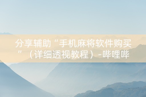 分享辅助“手机麻将软件购买”（详细透视教程）-哔哩哔哩