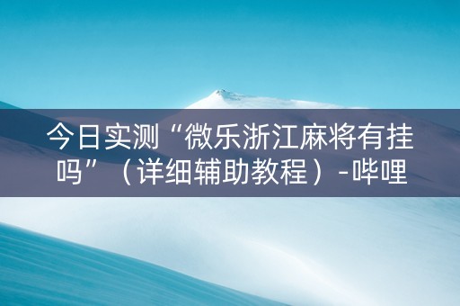 今日实测“微乐浙江麻将有挂吗”（详细辅助教程）-哔哩哔哩
