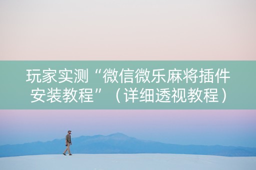 玩家实测“微信微乐麻将插件安装教程”（详细透视教程）-哔哩哔哩