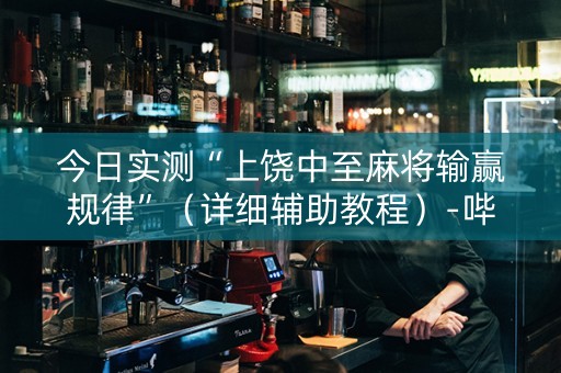 今日实测“上饶中至麻将输赢规律”（详细辅助教程）-哔哩哔哩