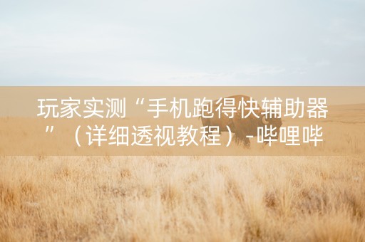 玩家实测“手机跑得快辅助器”（详细透视教程）-哔哩哔哩
