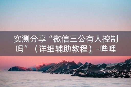 实测分享“微信三公有人控制吗”（详细辅助教程）-哔哩哔哩