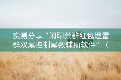 实测分享“闲聊禁群红包埋雷群双尾控制尾数辅助软件”（详细透视教程）-哔哩哔哩