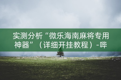 实测分析“微乐海南麻将专用神器”（详细开挂教程）-哔哩哔哩