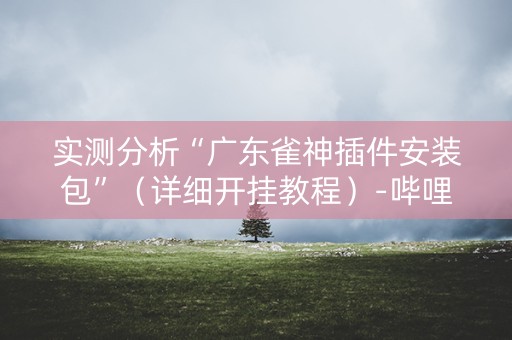 实测分析“广东雀神插件安装包”（详细开挂教程）-哔哩哔哩