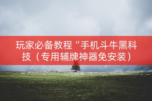 玩家必备教程“手机斗牛黑科技（专用辅牌神器免安装）