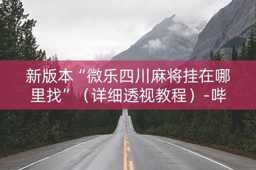 新版本“微乐四川麻将挂在哪里找”（详细透视教程）-哔哩哔哩