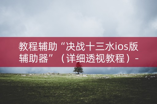 教程辅助“决战十三水ios版辅助器”（详细透视教程）-哔哩哔哩