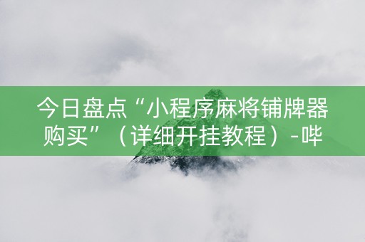 今日盘点“小程序麻将铺牌器购买”（详细开挂教程）-哔哩哔哩