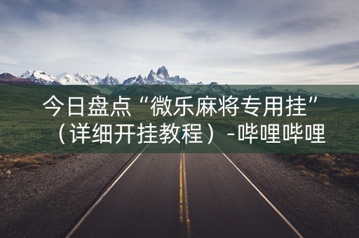 今日盘点“微乐麻将专用挂”（详细开挂教程）-哔哩哔哩