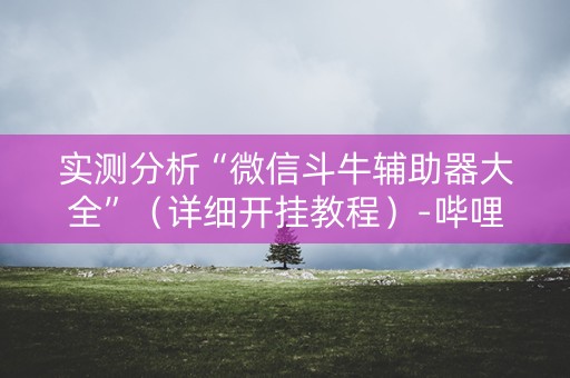 实测分析“微信斗牛辅助器大全”（详细开挂教程）-哔哩哔哩
