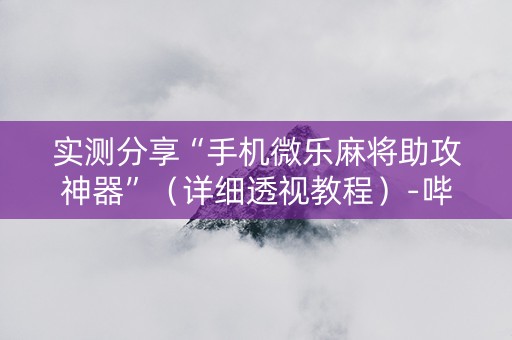 实测分享“手机微乐麻将助攻神器”（详细透视教程）-哔哩哔哩