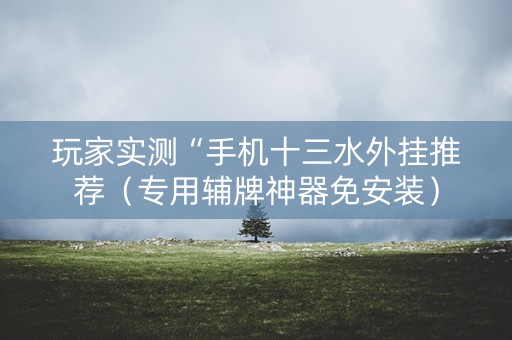 玩家实测“手机十三水外挂推荐（专用辅牌神器免安装）