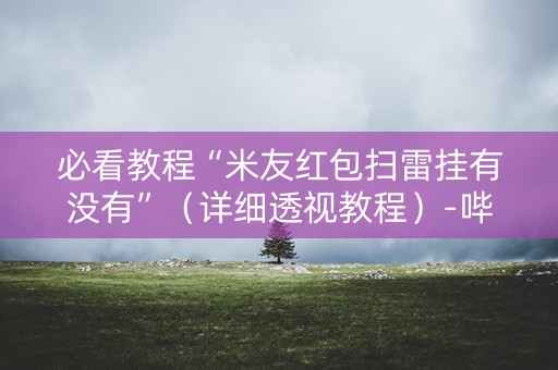 必看教程“米友红包扫雷挂有没有”（详细透视教程）-哔哩哔哩