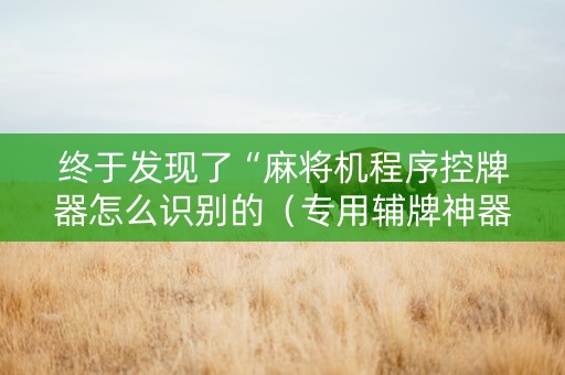 终于发现了“麻将机程序控牌器怎么识别的（专用辅牌神器免安装）