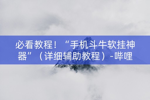 必看教程！“手机斗牛软挂神器”（详细辅助教程）-哔哩哔哩