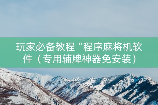 玩家必备教程“程序麻将机软件（专用辅牌神器免安装）