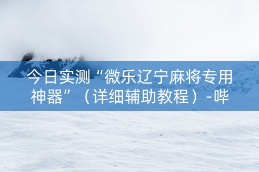 今日实测“微乐辽宁麻将专用神器”（详细辅助教程）-哔哩哔哩