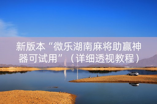 新版本“微乐湖南麻将助赢神器可试用”（详细透视教程）-哔哩哔哩