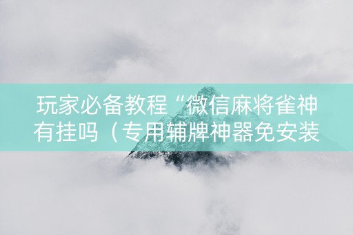 玩家必备教程“微信麻将雀神有挂吗（专用辅牌神器免安装）