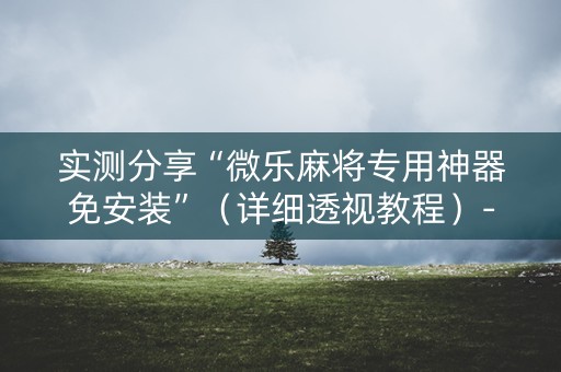 实测分享“微乐麻将专用神器免安装”（详细透视教程）-哔哩哔哩