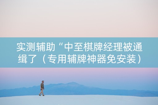 实测辅助“中至棋牌经理被通缉了（专用辅牌神器免安装）