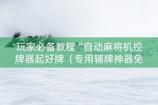 玩家必备教程“自动麻将机控牌器起好牌（专用辅牌神器免安装）