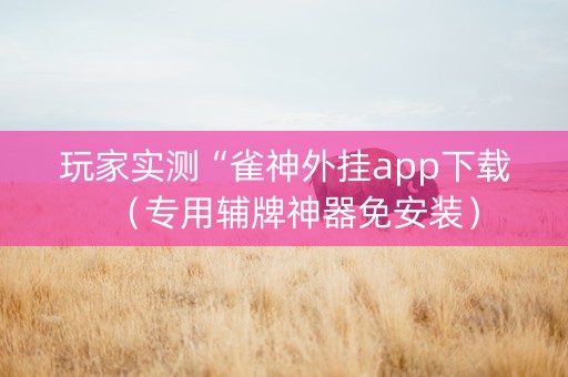 玩家实测“雀神外挂app下载（专用辅牌神器免安装）