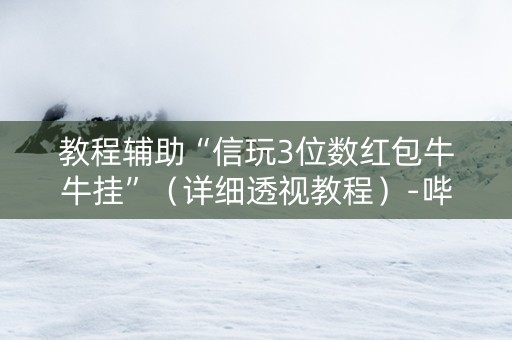 教程辅助“信玩3位数红包牛牛挂”（详细透视教程）-哔哩哔哩