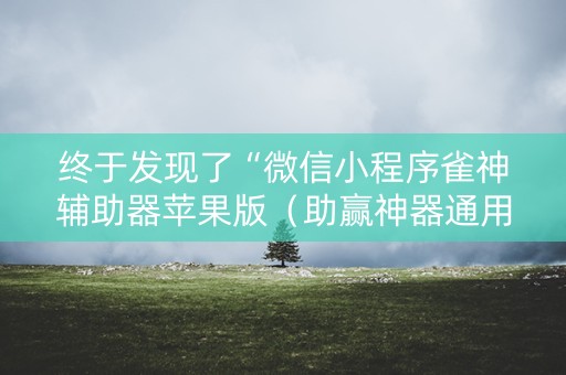 终于发现了“微信小程序雀神辅助器苹果版（助赢神器通用版）