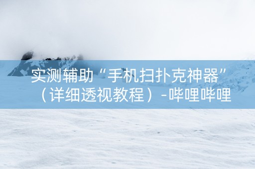 实测辅助“手机扫扑克神器”（详细透视教程）-哔哩哔哩